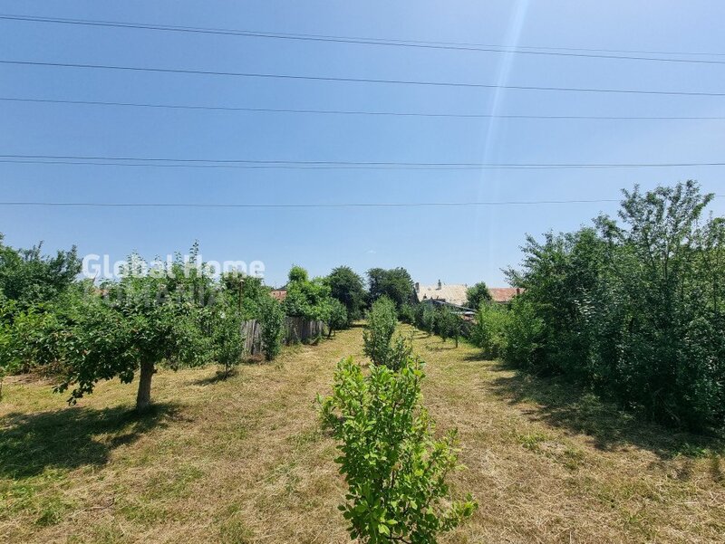 Cornu de Jos, Prahova, 1000 mp teren intravilan, toate utilitatile prezente